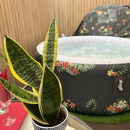 Belmonte 코르도바